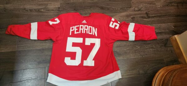 Detroit Red Wings David Perron