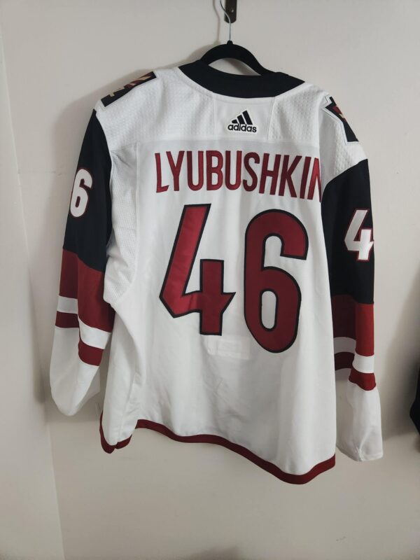 Phoenix Coyotes Ilya Lybushkin