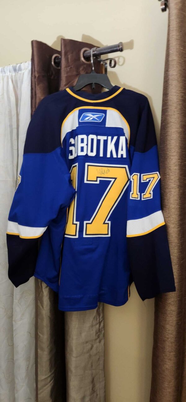 St. Louis Blues Vladimir Sobotka