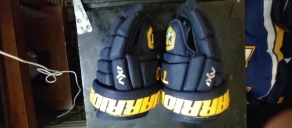 St Louis Blues Oskar Sundqvist Gloves